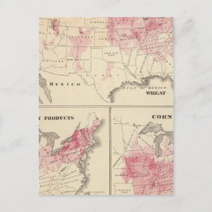 Carte Postale Produits élevés en 1870 Blé Produits laitiers Maïs
