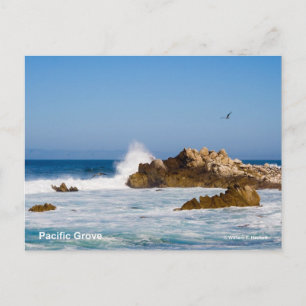 Carte Postale Produits Pacific Grove California