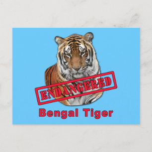 Carte Postale Produits tigres du Bengale en danger