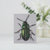 Carte Postale Produits verts de scarabée (Debout devant)
