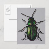 Carte Postale Produits verts de scarabée (Devant / Derrière)