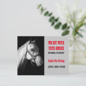 Carte postale professionnelle Cheval Sitter (Debout devant)