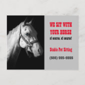 Carte postale professionnelle Cheval Sitter (Devant)