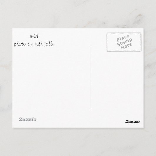 Carte Postale Profil de canard à canard à canard (Dos)