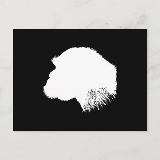 Carte Postale Profil de chimpanzé blanc (Devant)