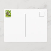 Carte Postale Profil de Chouette barrée (Dos)