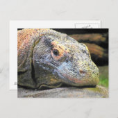 Carte Postale Profil de Komodo Dragon (Devant / Derrière)