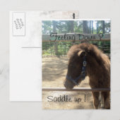 Carte Postale profil de poney (Devant / Derrière)