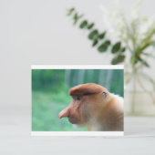 Carte Postale Profil de singe Proboscis (Debout devant)