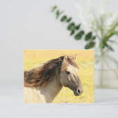 Carte Postale Profil du cheval beige (Debout devant)