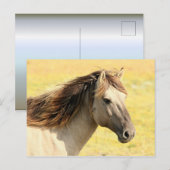 Carte Postale Profil du cheval beige (Devant / Derrière)
