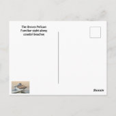 Carte Postale Profil du Pélican Brown (Dos)