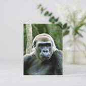 Carte postale Profil Gorilla (Debout devant)