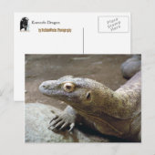 Carte postale Profil Komodo (Devant / Derrière)