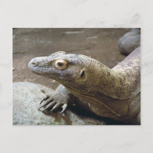 Carte postale Profil Komodo