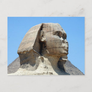 Carte Postale profil sphinx