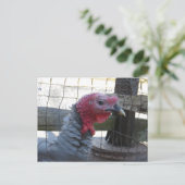 Carte Postale Profil turc (Debout devant)