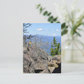 Carte Postale Profiter de la vue (Debout devant)