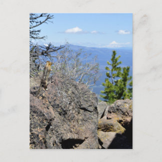 Carte Postale Profiter de la vue