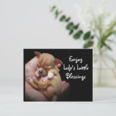 Carte Postale Profitez des petites bénédictions de la vie (Debout devant)