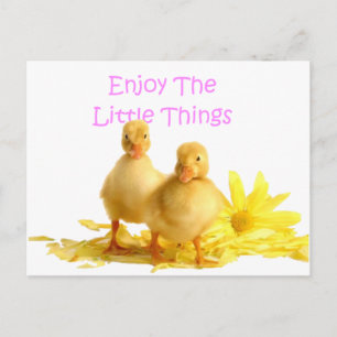 Carte Postale Profitez Des Petites Choses, Des Colliers