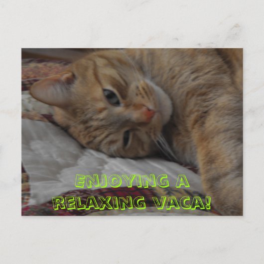 Carte Postale , Profitez d'un séjour de détente ! (Devant)