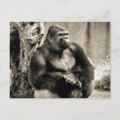 Carte postale PROFONDE EN PENSÉE (Devant)