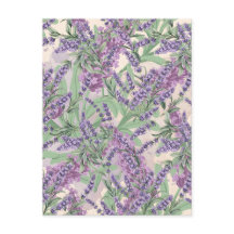 Profusion de Lavande Poussiéreuse Lavande Floral R