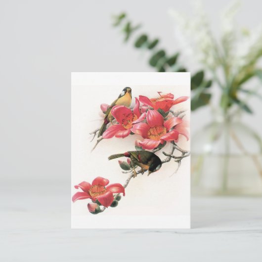 Carte Postale Profusion rose (Debout devant)