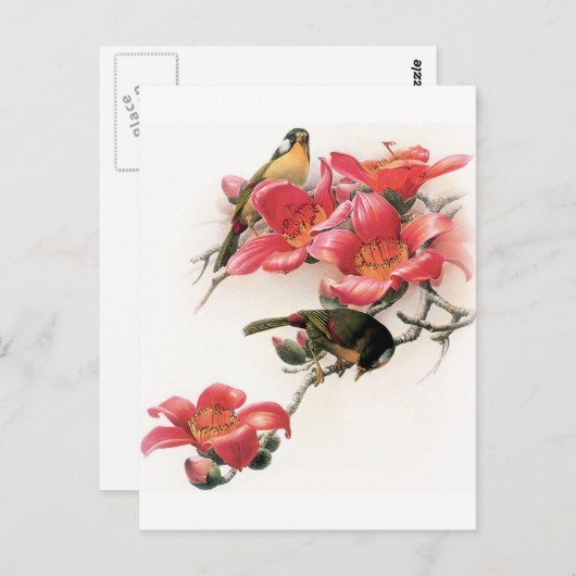 Carte Postale Profusion rose (Devant / Derrière)