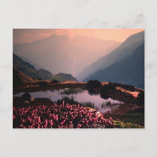 CARTE POSTALE PROGRÈS (Devant)