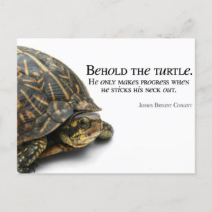 Carte Postale Progression