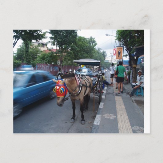 Carte Postale promenade à cheval à Bali (Devant)