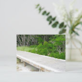 Carte Postale Promenade à Davis Park (Debout devant)