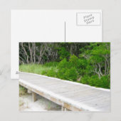 Carte Postale Promenade à Davis Park (Devant / Derrière)