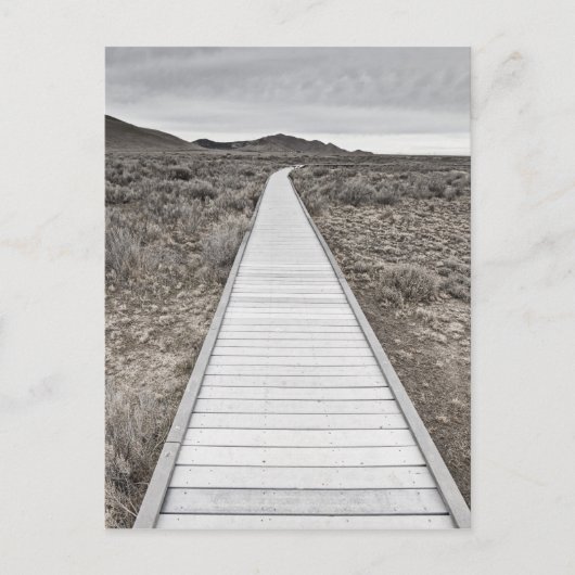 Carte Postale Promenade à travers le désert (Devant)