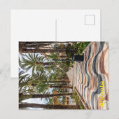 Carte Postale Promenade, Alicante, Costa Blanca, Espagne (Devant / Derrière)