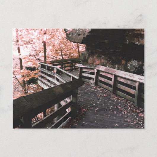Carte Postale promenade brandywine (Devant)