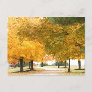 Carte Postale Promenade d'automne