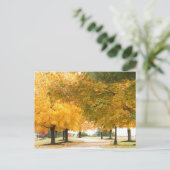 Carte Postale Promenade d'automne (Debout devant)