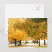 Carte Postale Promenade d'automne (Devant / Derrière)