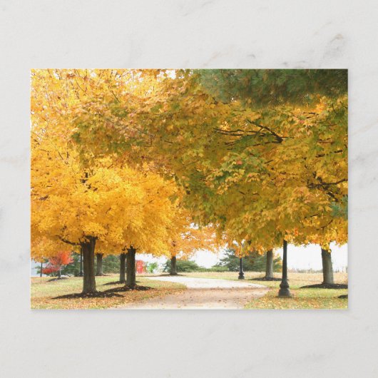 Carte Postale Promenade d'automne (Devant)