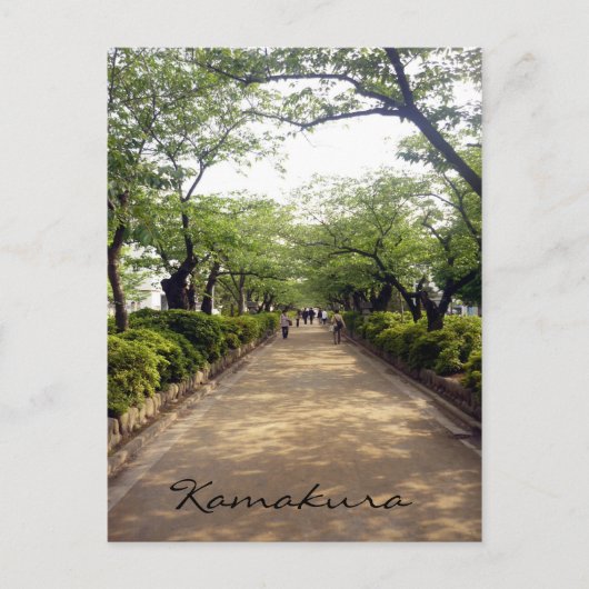 Carte Postale promenade de kamakura (Devant)