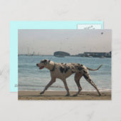 Carte Postale Promenade de l'après-midi III (Devant / Derrière)