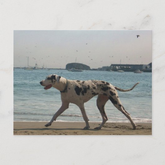 Carte Postale Promenade de l'après-midi III (Devant)