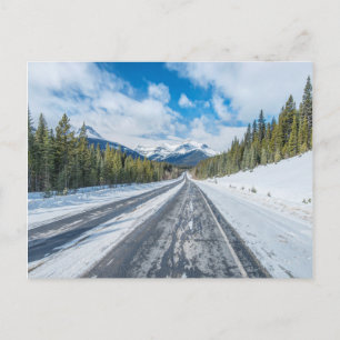 Carte Postale Promenade des Glaciers