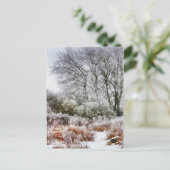 Carte Postale Promenade d'hiver (Debout devant)