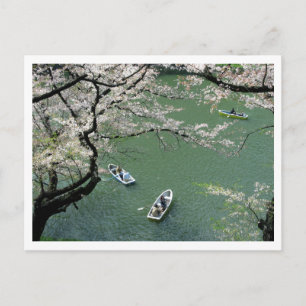 Carte Postale Promenade en bateau sur Chidorigafuchi : Tokyo, Ja