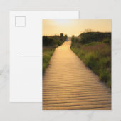 Carte Postale Promenade en bois vers la plage (Devant / Derrière)