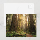 Carte Postale Promenade en forêt (Devant / Derrière)